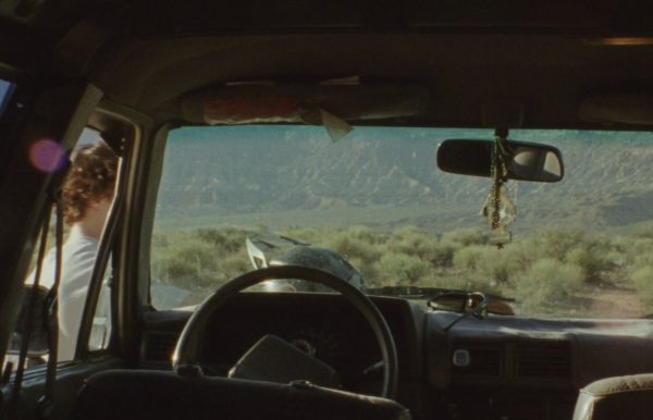 Desert Bugs